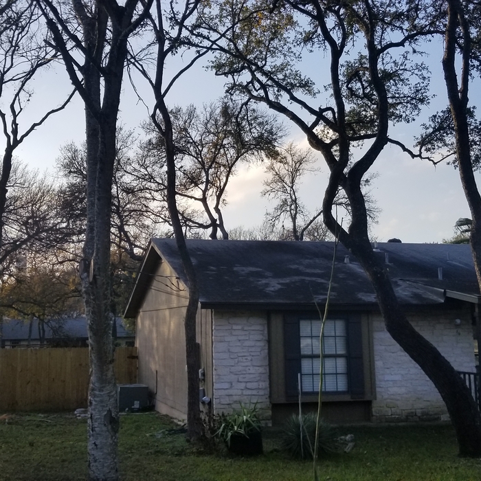 Additional Photos