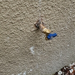 Plumbing Project