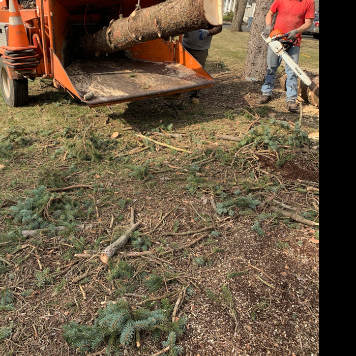 Additional Photos