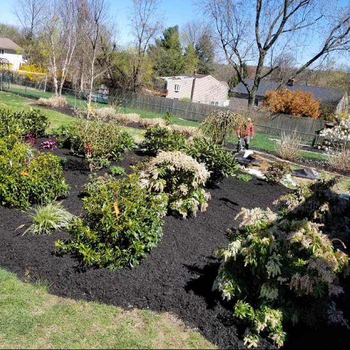 Additional Photos