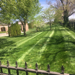 Additional Photos