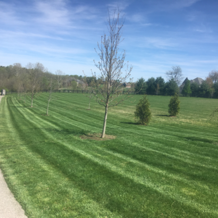 Additional Photos