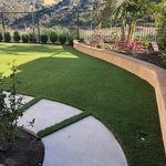 Backyard Remodel