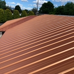 Copper Penny Roof