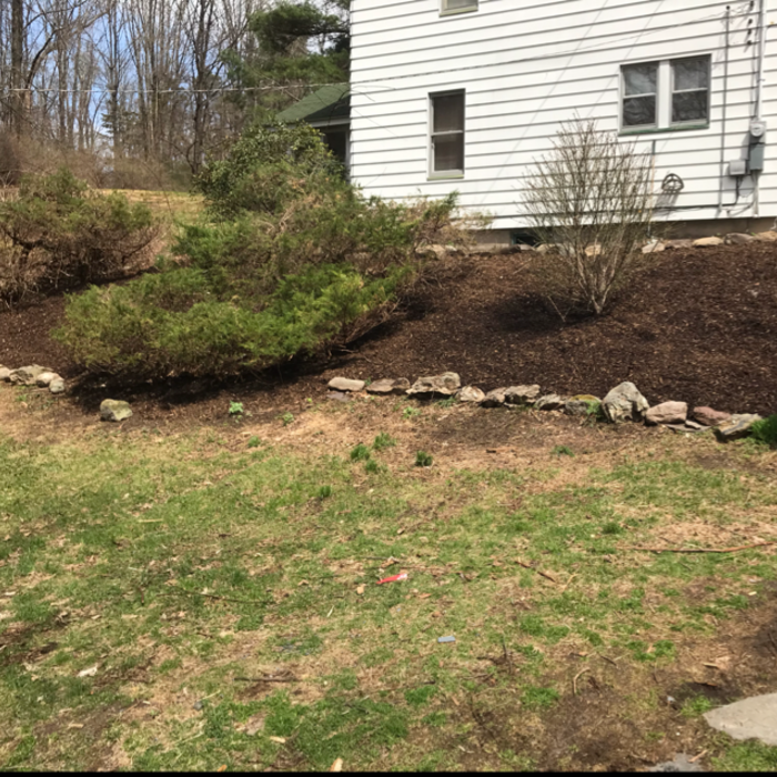 Additional Photos