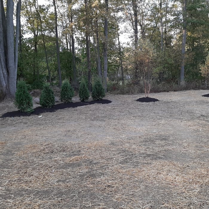 Additional Photos