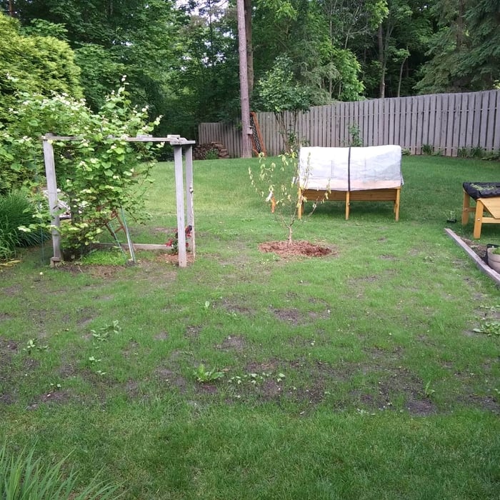 Additional Photos
