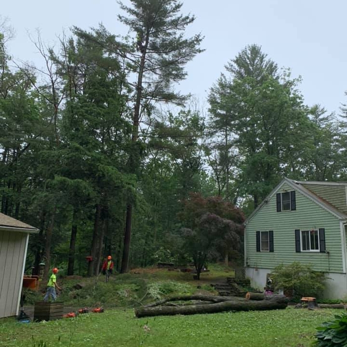 Additional Photos