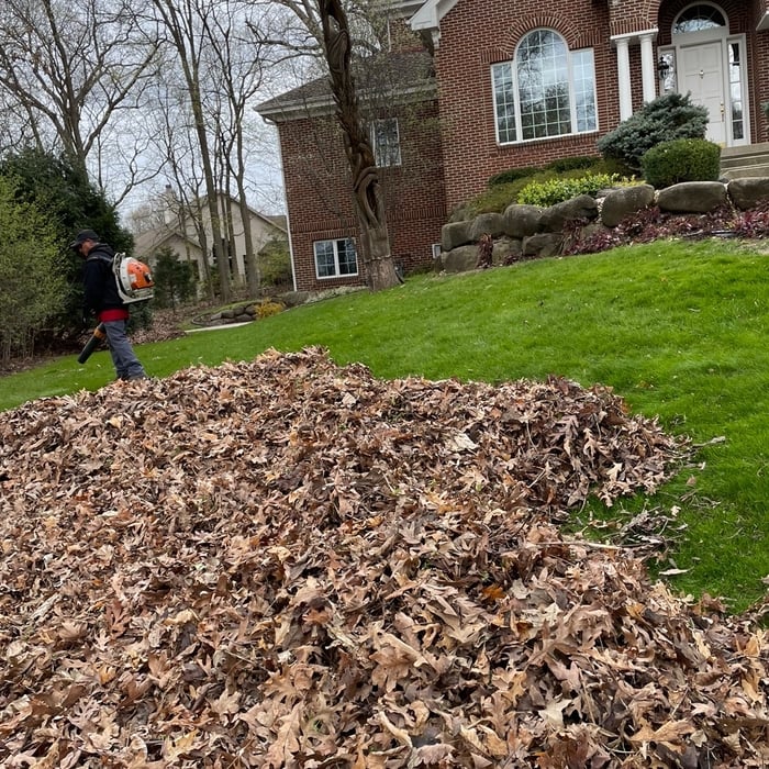 Spring clean up