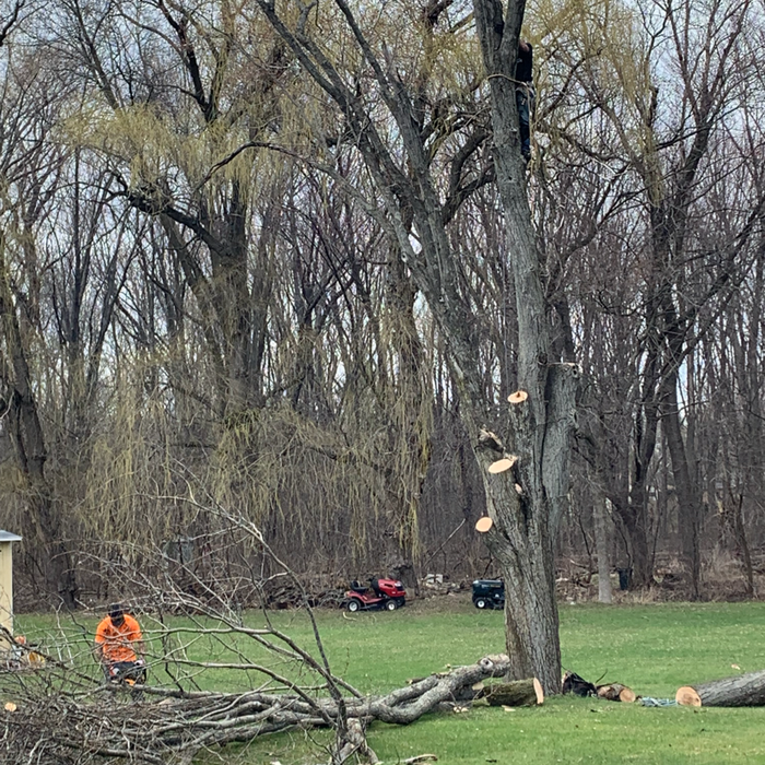 Additional Photos
