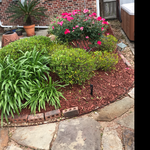Additional Photos