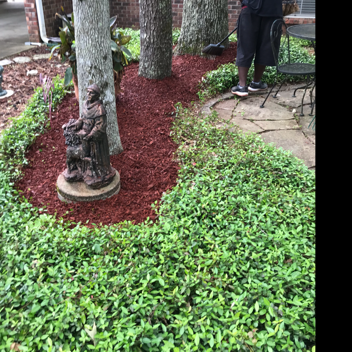 Additional Photos