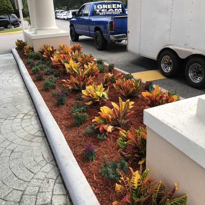 Additional Photos