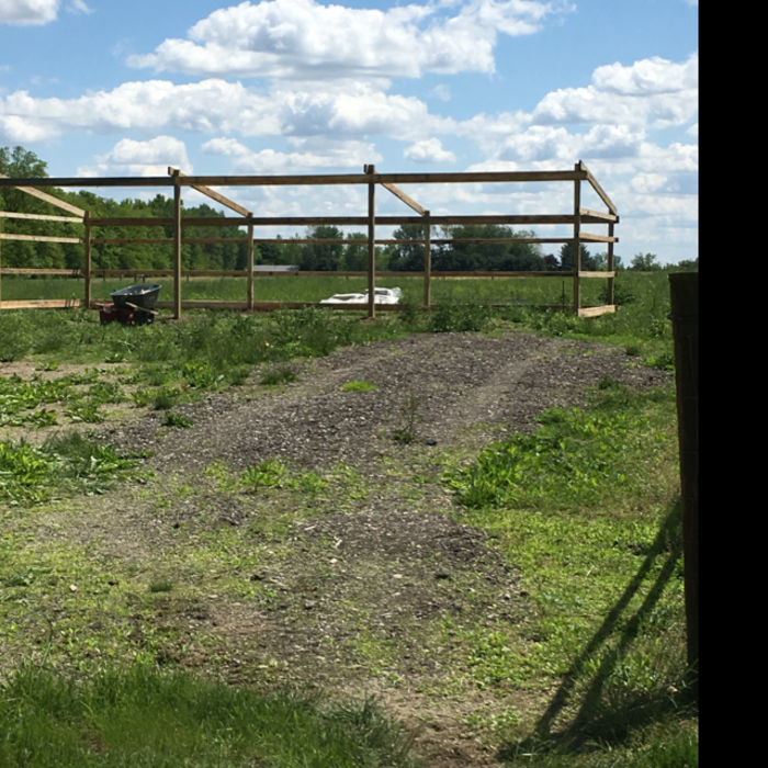 Additional Photos
