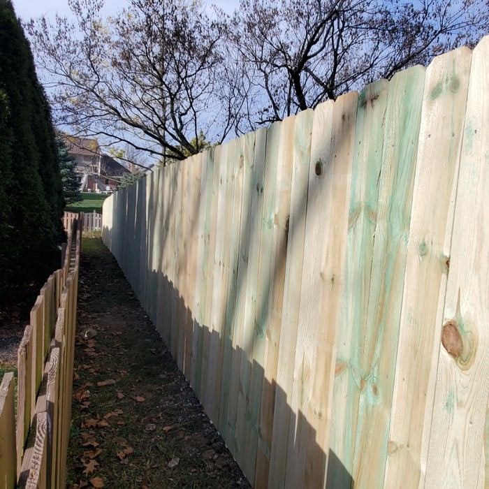 360ft Of Pine Privacy