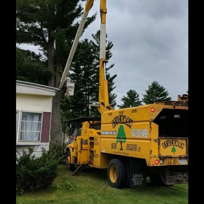 Additional Photos