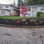 Garden Remodeling