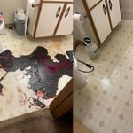 Bio/blood clean up