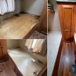 Rodent bio clean up