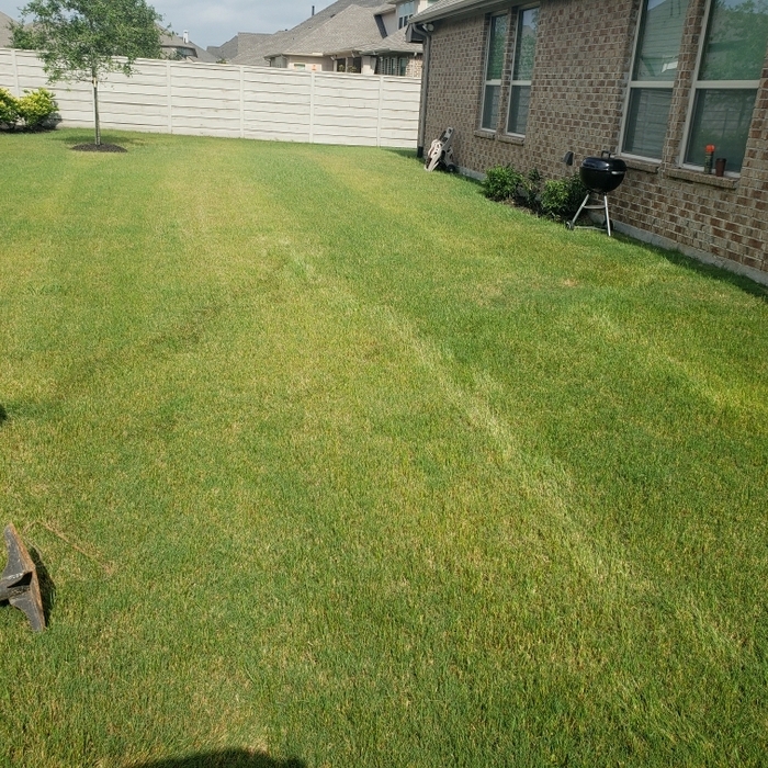 Additional Photos