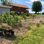 Additional Photos