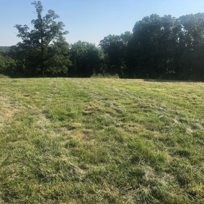 Additional Photos