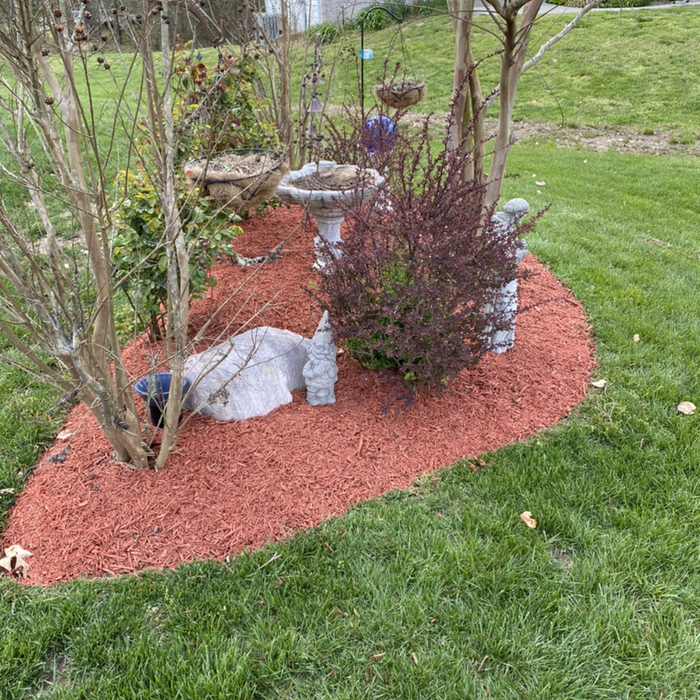 Additional Photos