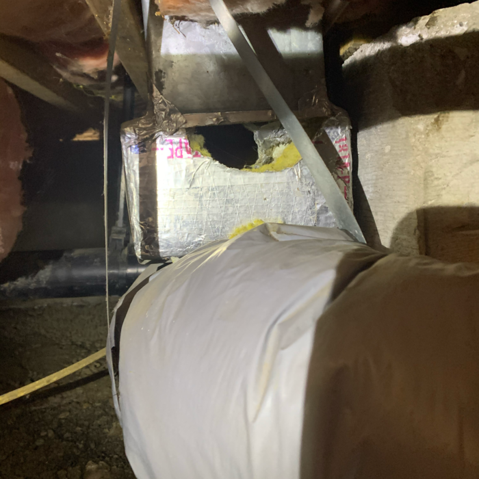 Additional Photos