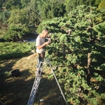 Additional Photos
