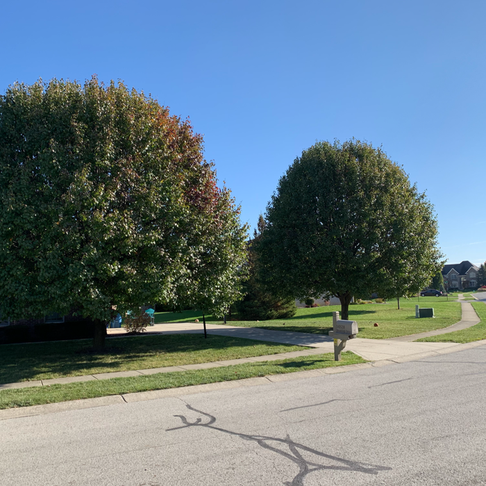 Additional Photos