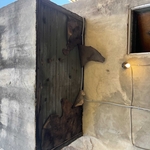 Stucco Project