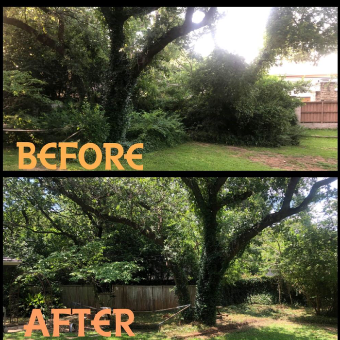 Additional Photos
