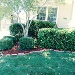 Additional Photos