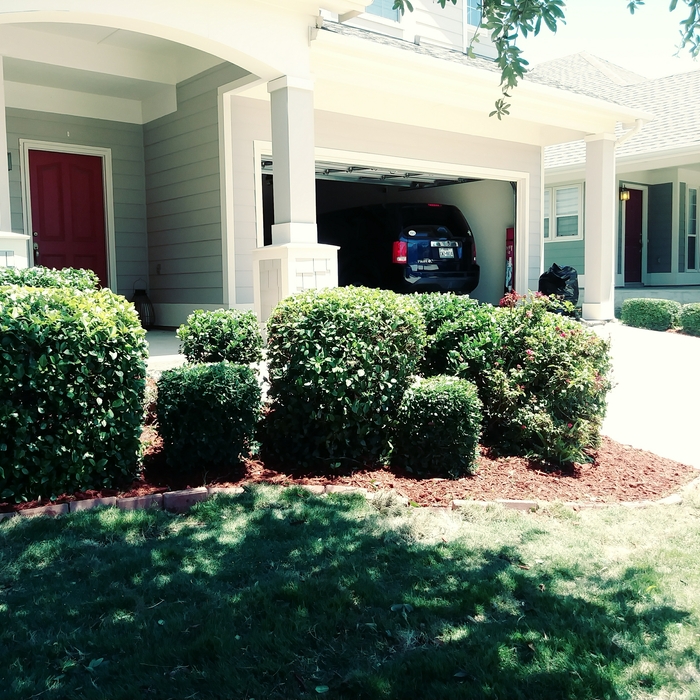 Additional Photos