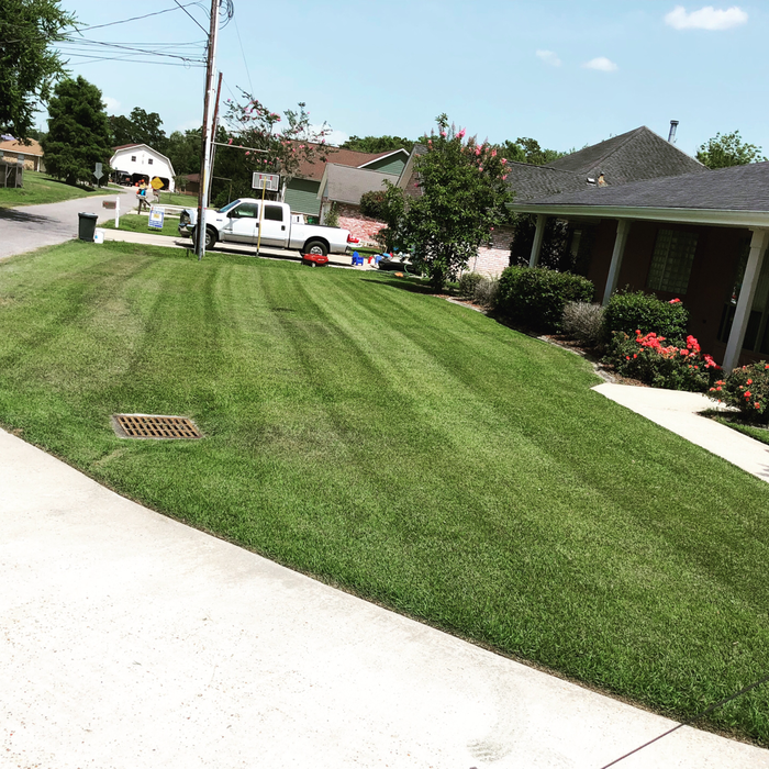 Additional Photos