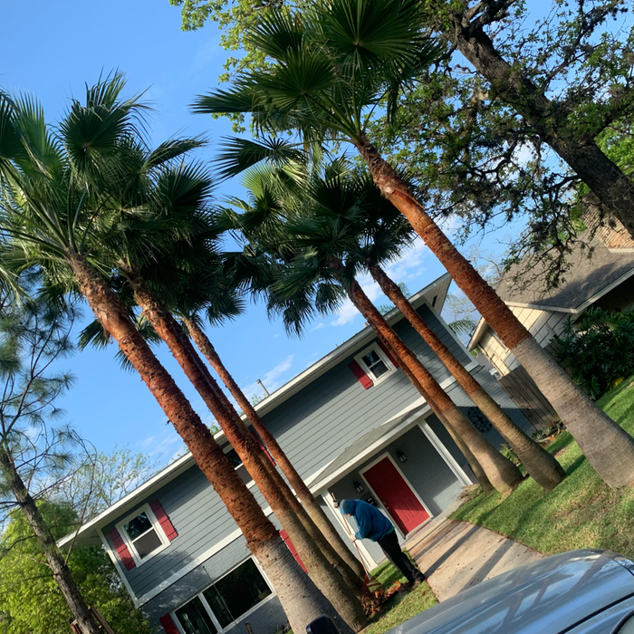 Additional Photos