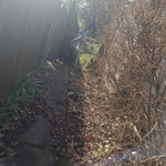 Side of house (BEFORE)