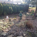 Left Side Back Yard (BEFORE)
