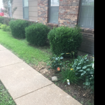 Additional Photos