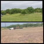 Land clearing