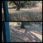 Lawn & Yard Work Project