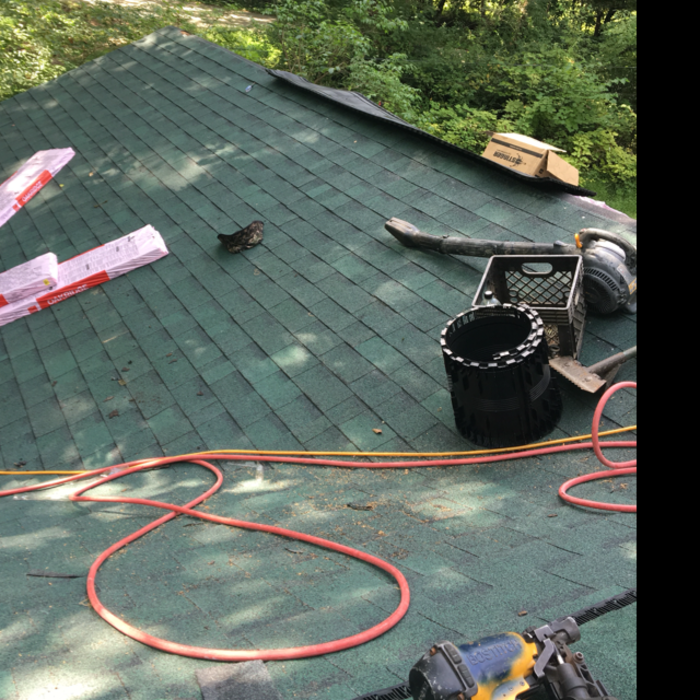 Additional Photos