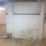 Mold in basement