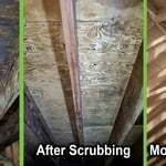 Before - After - Encapsulation