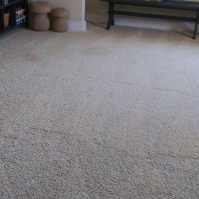 Carpet detail work