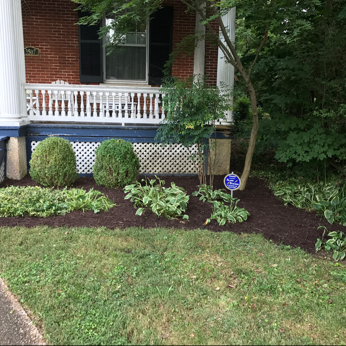 Additional Photos