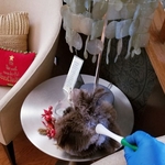 Recurrent Cleaning Services