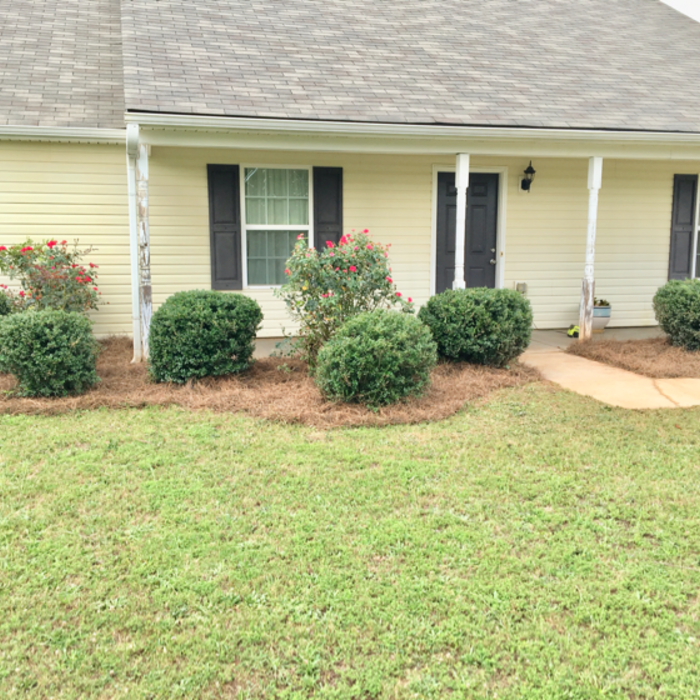 Additional Photos