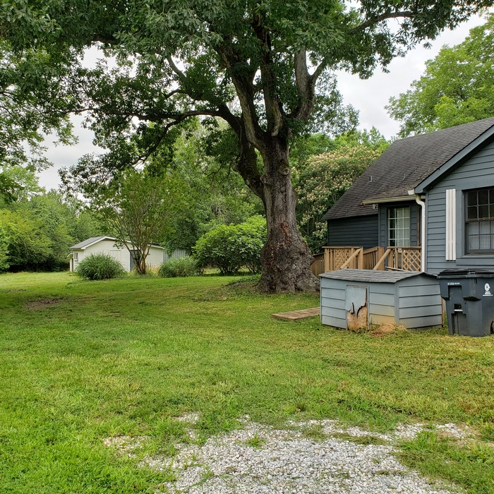 Additional Photos