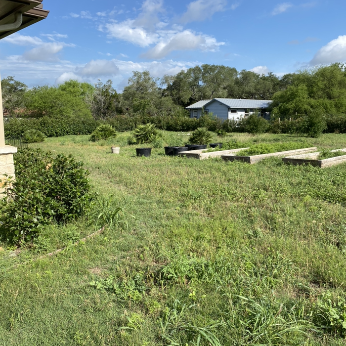 Additional Photos